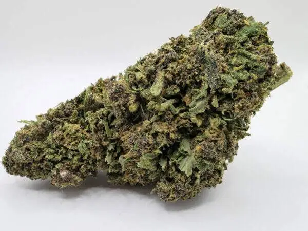 Fleur-Blueberry-CBD--600x450 Thc weed kaufen (BLUEBERRY kush)