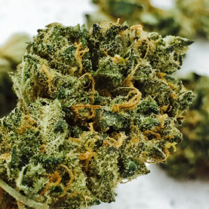 Cannabis Lemon Punch Kush online kaufen