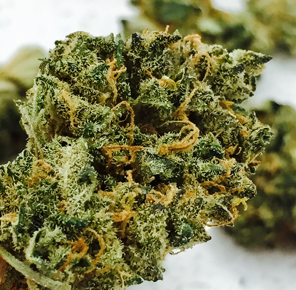 Cannabis Lemon Punch Kush online kaufen