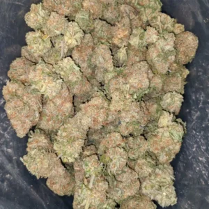 Weed kaufen (Chocolope Bluten)