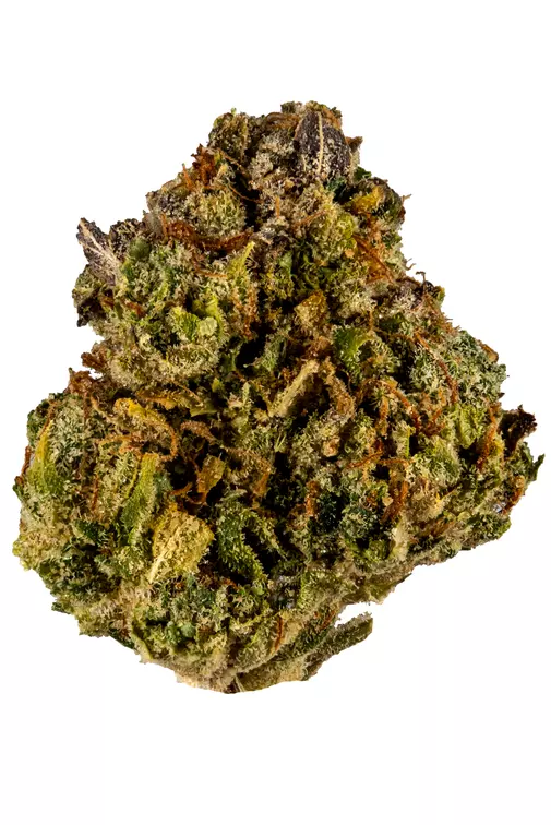 Johnny-Chimpo (1) Buy Lemon Punch Kush Online