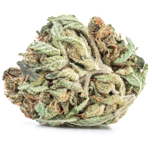 Strawberry-Cheesecake-cannabis-seeds (1) Buy White Widow Kush Online
