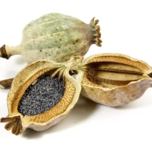 Buy Poppy Seed Capsules Online Australia